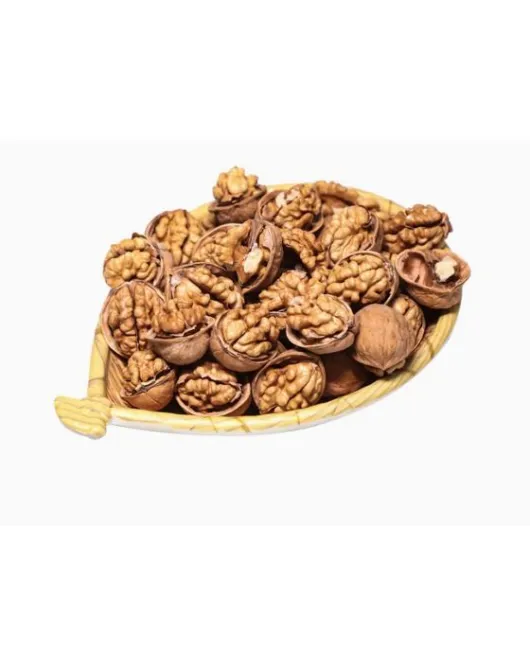 جوز صيني
