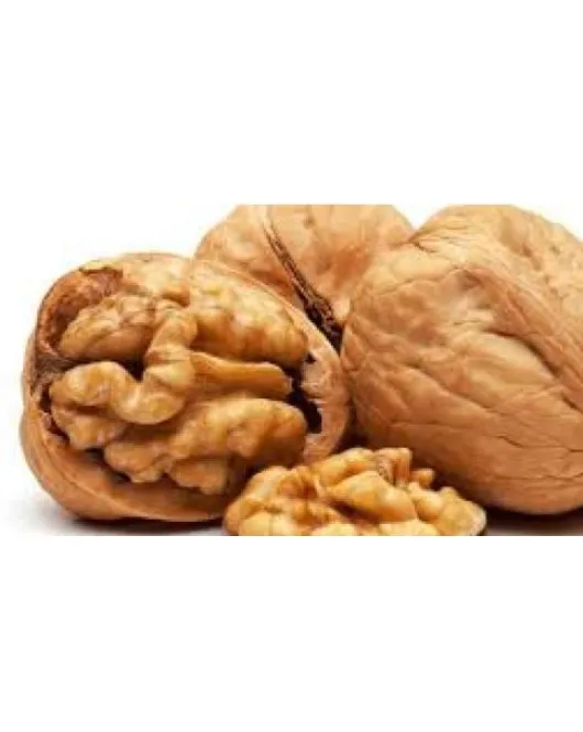 جوز لارج