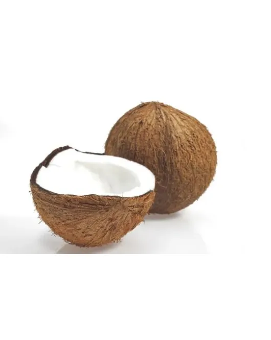 جوز الهند
