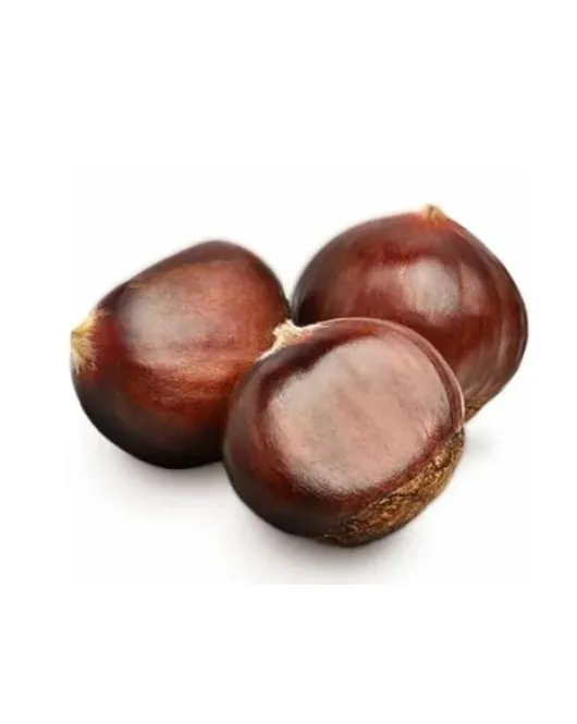 كستنا chestnut