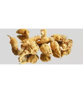 شامبو صبغة dexe 420ml