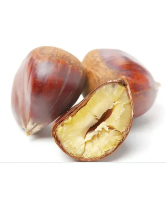 كستنا مشوية