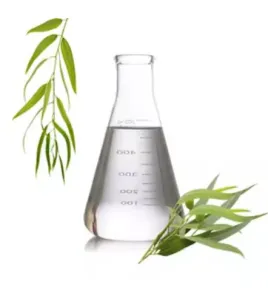 eucalyptusزيت مساج