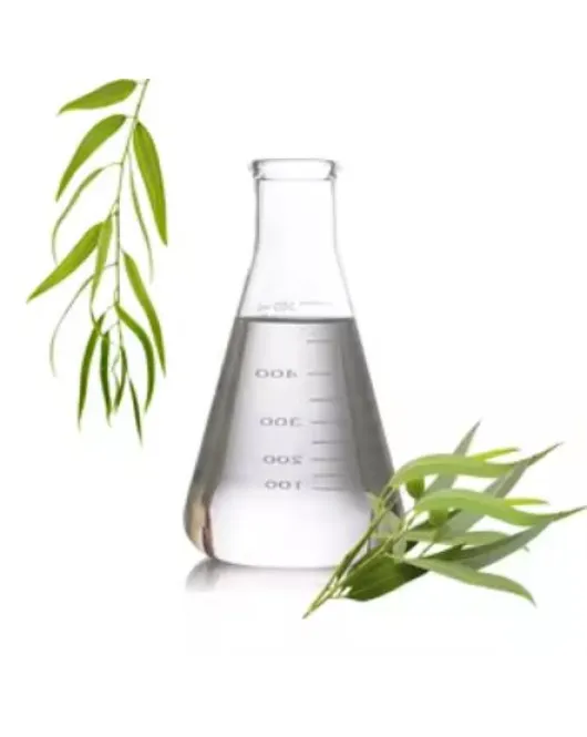 eucalyptusزيت مساج