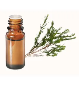 teatreeزيت مساج